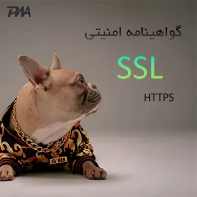 اس اس ال یا ssl چیست ؟